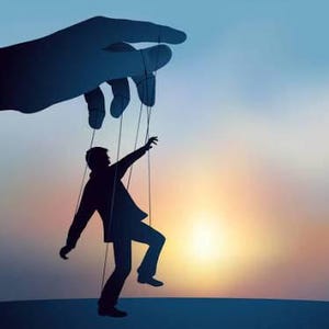 KONRAD added a photo of their purchase