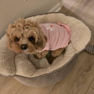 Susan added a photo of their purchase