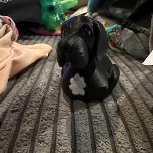 Donna added a photo of their purchase