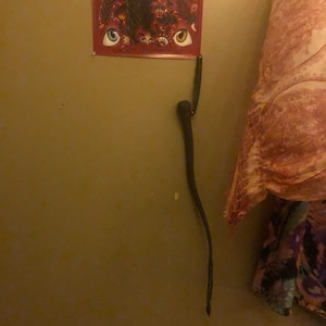 Kit added a photo of their purchase