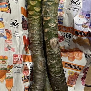 Thuy added a photo of their purchase