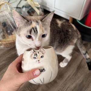 Oishee added a photo of their purchase