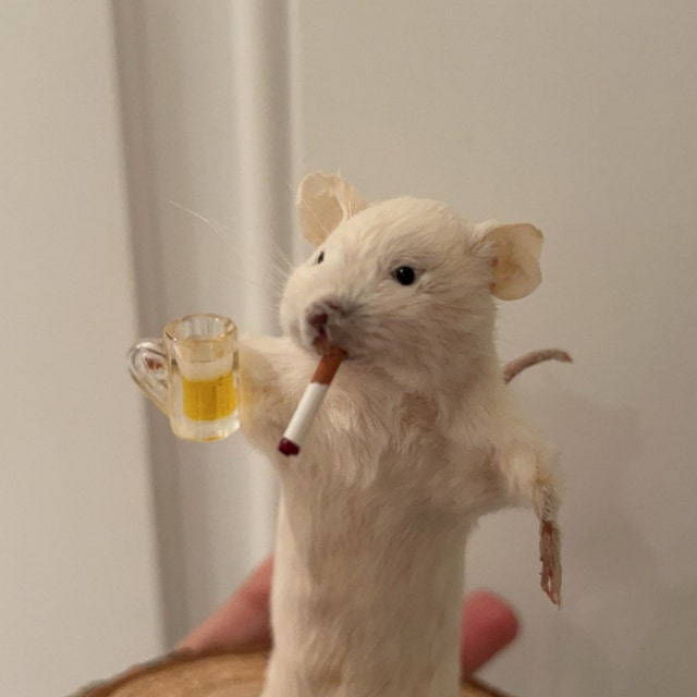 剥製、喫煙、ビールを飲む、酔っ払ったネズミ、彼への面白い贈り物