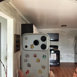 Poké Gen 1 001-151 Vinyl Sticker Sheet | 153 mini stickers!