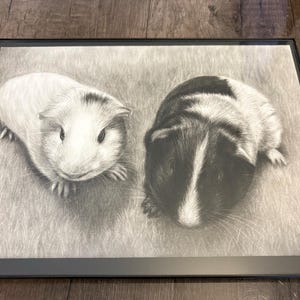 Shannyn heeft een foto van zijn/haar aankoop toegevoegd