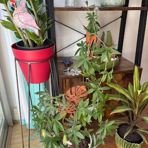 Jaqueline added a photo of their purchase