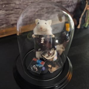 Jody heeft een foto van de aankoop toegevoegd