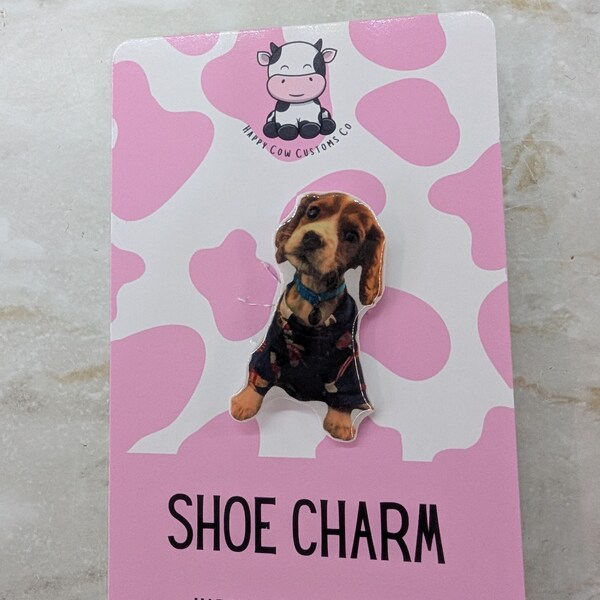 Grow your own christmas tree kit uk