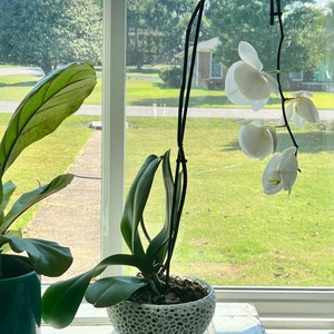 Leslie added a photo of their purchase