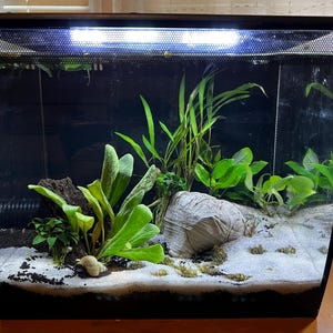 Corey added a photo of their purchase