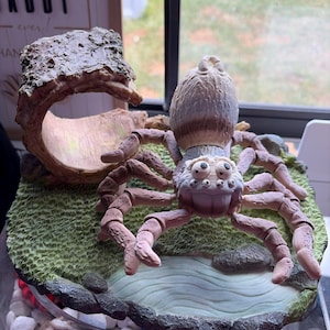 Jack added a photo of their purchase