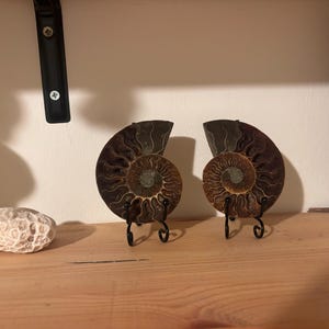 יסכה added a photo of their purchase