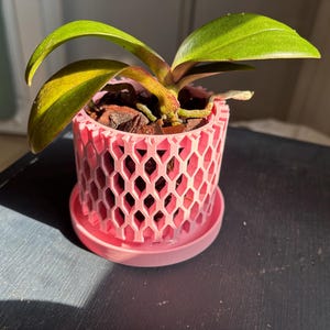 Leah added a photo of their purchase