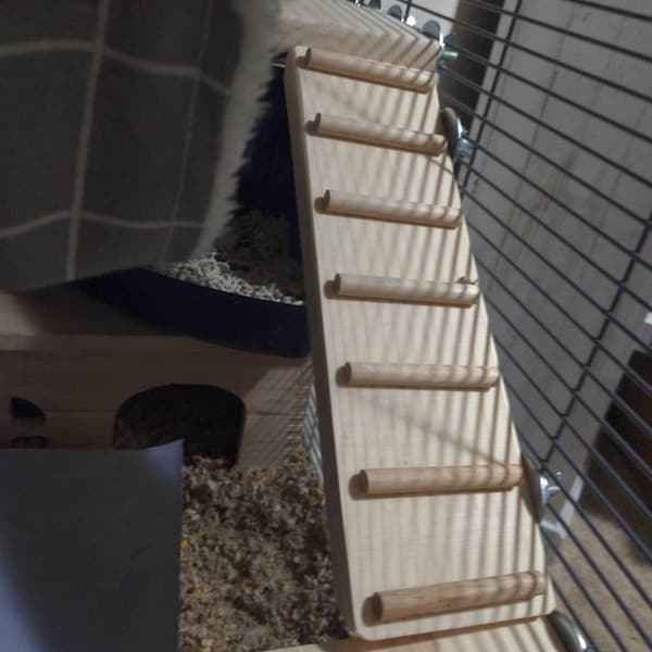 Kiln Dried Pine Wooden Ramp for Guinea Pigs, Birds, Chinchillas, Rats ...
