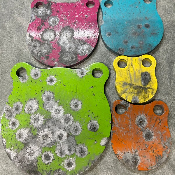 AR500 1/4" Steel Shooting Targets 3" 4" 5" 6" 8" Gong Bundle