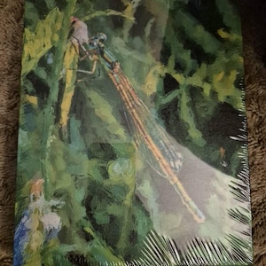 Sierra added a photo of their purchase