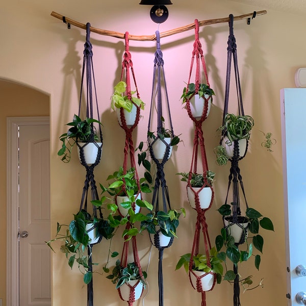 Triple Macrame Plant Hanger Pattern, BEGINNER Macrame, Fantasy Macrame ...