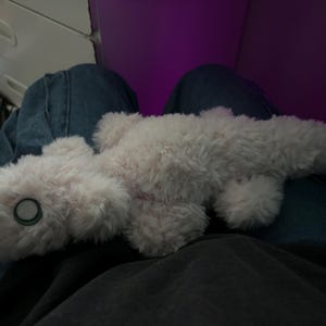 Katelyn hat ein Foto des gekauften Artikels hinzugefügt