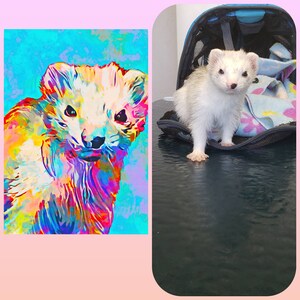 Segan heeft een foto van de aankoop toegevoegd