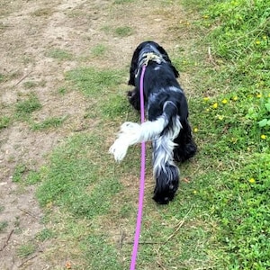 Louise added a photo of their purchase