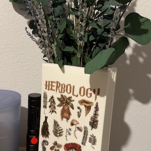 Rachel added a photo of their purchase