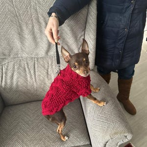 Susan added a photo of their purchase