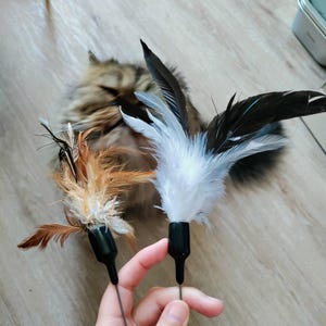 Javiera added a photo of their purchase