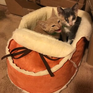 moccasin cat bed