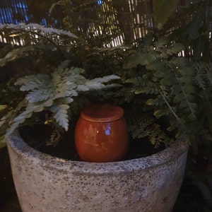 Anne added a photo of their purchase