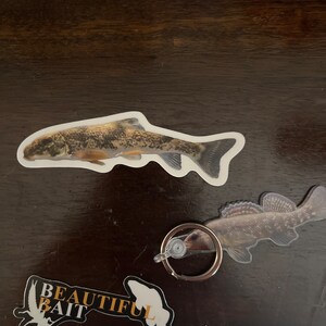 Alex ha aggiunto una foto del proprio acquisto