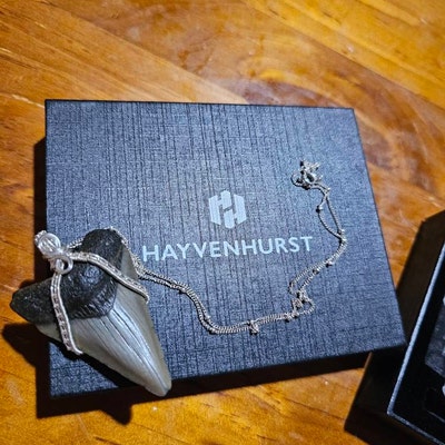 Authentic Megalodon Shark Tooth 2.02.3 - Etsy