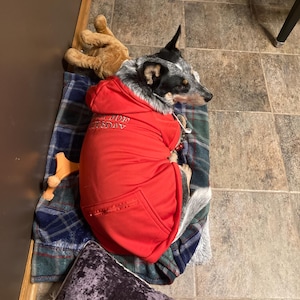 DB added a photo of their purchase