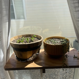 Rachel added a photo of their purchase