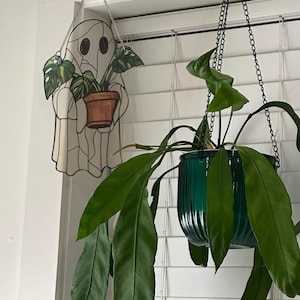 Kate added a photo of their purchase