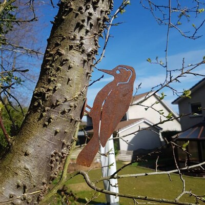Rusty Metal Bird Silhouettes Garden Fence Decor Woodpecker Robin Steel