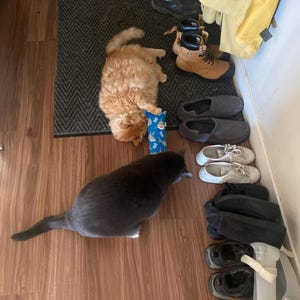 Etsy buyer added a photo of their purchase