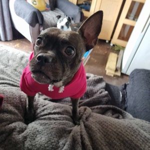 Kay added a photo of their purchase