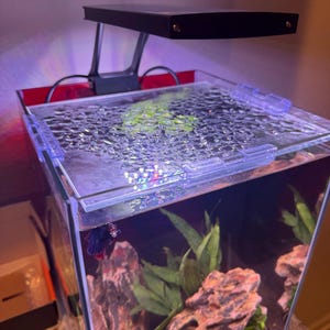 Jesse added a photo of their purchase