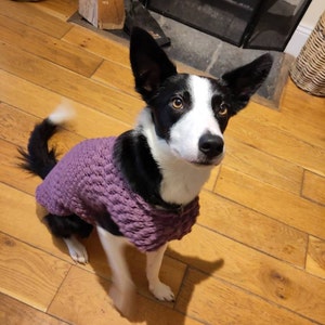 Samantha added a photo of their purchase