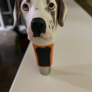 Titus added a photo of their purchase
