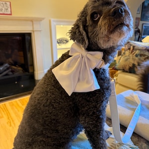 Dominique added a photo of their purchase