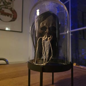 Sander added a photo of their purchase