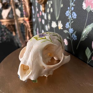 Kate さんが購入した商品の写真を追加しました