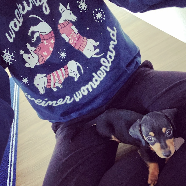 Walking in a Weiner Wonderland Crewneck Sweatshirt Funny