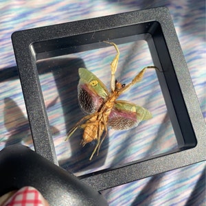 Tori added a photo of their purchase