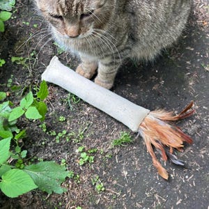 Carolin added a photo of their purchase
