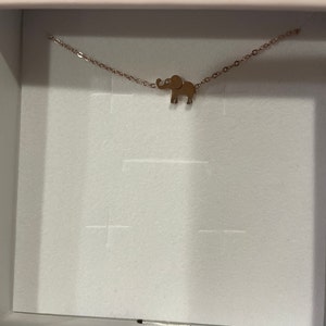 AmyRose added a photo of their purchase