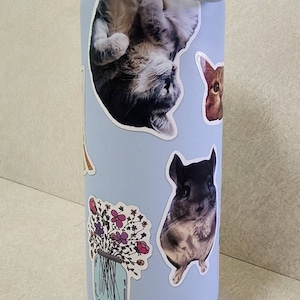 Katie added a photo of their purchase
