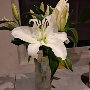 Jacqueline added a photo of their purchase
