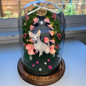 marlyn さんが購入した商品の写真を追加しました